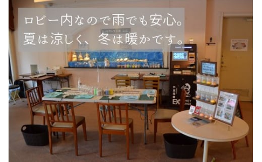 浮き球 シェルランプS ワークショップ 参加チケット 海 貝殻 ランプ 体験 江の島 江ノ島