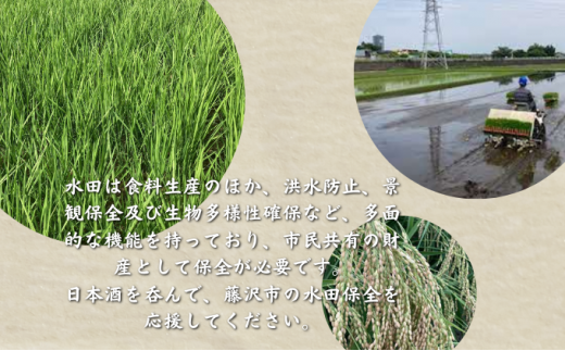 【藤沢産のお米で造った純米酒】藤田熊醸 720ml 3本 日本酒 お酒