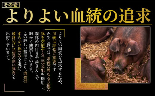 しその香り漂う肉汁たっぷり しそ餃子 20個 冷凍餃子 みやじ豚 ブランド豚 100% 餃子 ぎょうざ ギョウザ ギョーザ ぎょーざ 焼き餃子 豚肉 おつまみ gyouza 水餃子 中華料理 国産 中華 お取り寄せ ギフト 化粧箱入 贈り物 贈答 お土産 冷凍 加工 食品 神奈川 湘南 藤沢