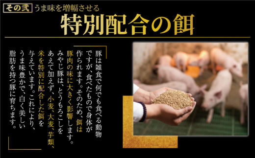 肉汁たっぷり にんにく餃子 20個入り みやじ豚 冷凍餃子 ブランド豚 100%  ニンニク 餃子 ぎょうざ ギョウザ ギョーザ ぎょーざ 焼き餃子 水餃子 gyouza おつまみ おかず 一口 お惣菜 ごはんのお供 国産 中華 お取り寄せ ギフト お土産 冷凍 加工 食品 神奈川 湘南 藤沢