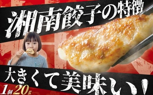 餃子 ぎょうざ 192個 (48個 × 4 パック) 肉汁たっぷり 大きい 国産 ブランド豚 神奈川 湘南 藤沢