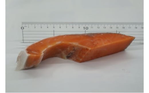 西京漬け 8切 計1kg 以上 銀鮭 カラスガレイ 銀だら ブリ 銀鮭 鮭 ぶり 魚屋 西京味噌 贅沢 真空包装 冷凍  手切り 魚屋 西京味噌 漬け魚 贈答 ギフト プレゼント 贈り物 ご飯のおかず魚喜  西京漬 西京焼き 漬魚  西京漬け 神奈川 湘南 藤沢