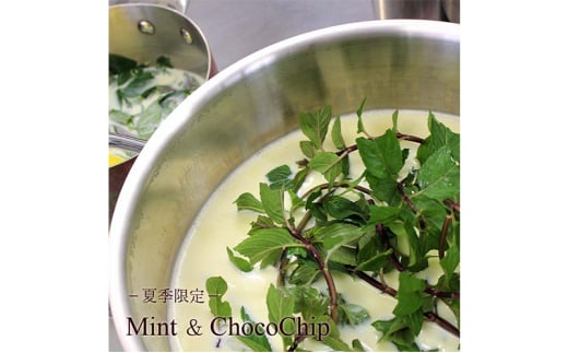 【定期便 3回 隔月】 Hilo Homemade Ice Cream 季節おすすめアイスクリーム 6個 神奈川 湘南 藤沢