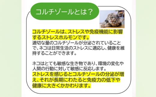 獣医師監修 ネコ体毛ホルモン量測定キット ～コルチゾール～ ネコの慢性ストレスチェック 株式会社あすか製薬メディカル 神奈川 湘南 藤沢