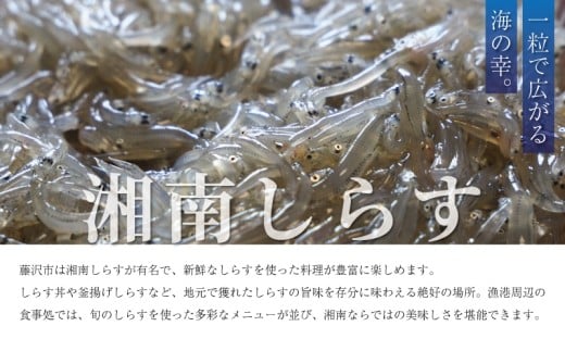 シュウマイ 8個 と ちまき 3個 点心セット ミシュラン 掲載店 中国旬菜 シウマイ しゅうまい syuumai 天然エビ入り点心 シュウマイ 焼売 中華 中国 料理 おかず 惣菜 ちまきchimaki チマキ ミシュラン 冷凍 旬 素材 四川料理 雲南料理 冷凍  素材の味 茶馬燕 神奈川 湘南 藤沢