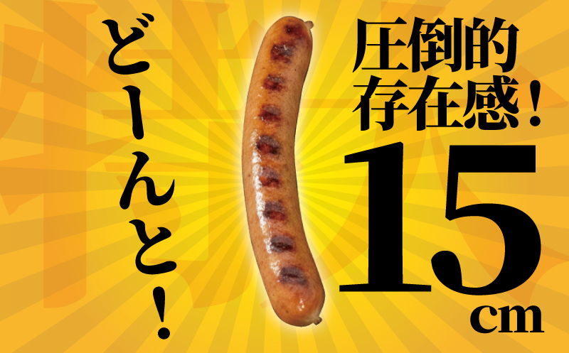 ウィンナー 計 2kg  (1kg × 2袋)  セット ソーセージ そーせーじ ういんなー サガミハム  神奈川 湘南 藤沢