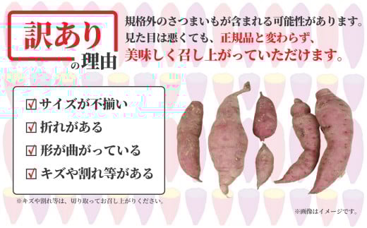 訳あり さつまいも 紅はるか 10kg 訳アリ 訳有 サツマイモ 薩摩芋 さつま芋 デザート べにはるか スイーツ 甘芋 スイートポテト sweet potato 蜜 蜜芋 芋 イモ 旬 秋野菜 秋の味覚 おやつ 食物繊維 数量限定 農家直送 産地直送 神奈川 湘南 藤沢 フロムベジ湘南