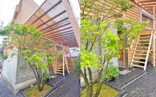 サーフィン スクール 3000円 分 コーチング レッスン 河村 カイサ YouTube YouTuber さーふぃん 体験 利用券 券 アクティビティ レジャー マリンスポーツ ビーチスポーツ 海 江の島 ビーチ アウトドア 旅行 観光 旅行 トラベル 関東 首都圏 RiverVllage 神奈川 湘南 藤沢