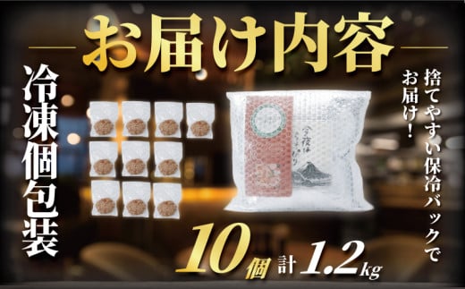 国産 黒毛和牛 鹿児島県豚 ハンバーグ 10個 セット はんばーぐ
