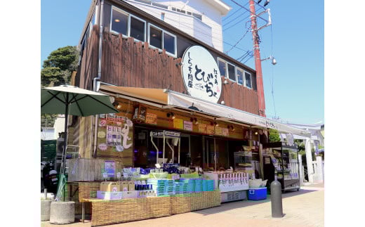 コロッケ しらす クラムチャウダー 10個 江の島 名物