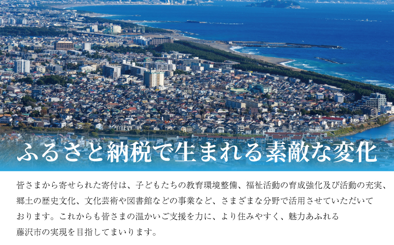 いかの塩辛 手造り 自家製 2個 セット てづくり いか 塩辛 イカ イカの塩辛 しおから 烏賊 海鮮 おつまみ つまみ お酒 の あて おかず さしみ 新鮮 ワタ 塩 わた 無添加 人気 美味しい 江の島 人気店 江の島土産 土産 お土産 おみやげ 江ノ島 磯料理 丸だい 仙水 神奈川 湘南 藤沢