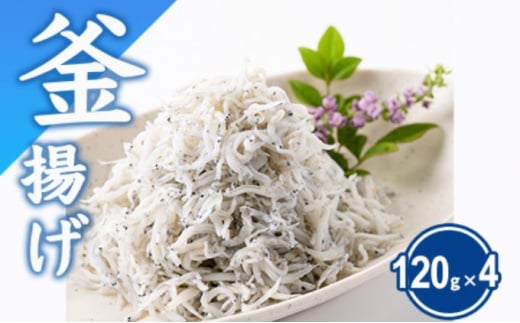  釜揚げしらす セット とびっちょ 江の島