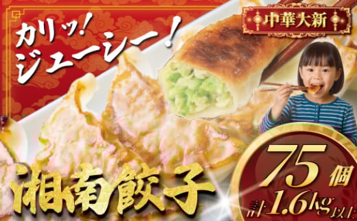 餃子 75個 ( 25個 × 3 パック )  冷凍食品 中華大新 ぎょうざ ギョウザ ギョーザ gyouza