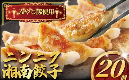 肉汁たっぷり にんにく餃子 20個入り みやじ豚 冷凍餃子 ブランド豚 100%  ニンニク 餃子 ぎょうざ ギョウザ ギョーザ ぎょーざ 焼き餃子 水餃子 gyouza おつまみ おかず 一口 お惣菜 ごはんのお供 国産 中華 お取り寄せ ギフト お土産 冷凍 加工 食品 神奈川 湘南 藤沢
