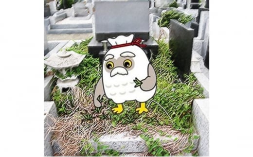 個人墓地の清掃サービス(藤沢市営大庭台墓園普通墓地のみ) 清掃 掃除 安心 サービス 代行 藤沢市まちづくり協会 神奈川 湘南 藤沢