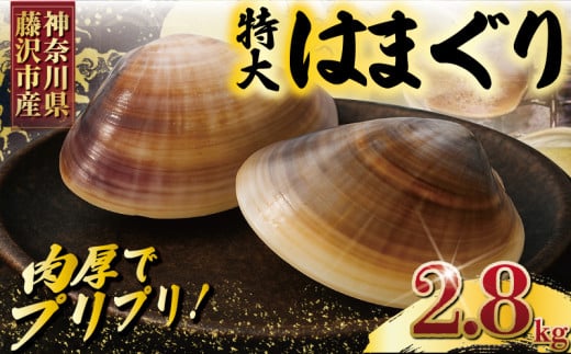 【3月発送】 はまぐり 蛤 大粒 約 2.8kg 砂抜き 済 LLサイズ ハマグリ 湘南はまぐり 冷凍 魚介 魚貝 冷凍 海鮮 水産加工品 水産品 海産物 魚 貝 だし ダシ 出汁 酒蒸し 味噌汁 酒蒸し グラタン お吸い物 網焼き バーベキュー BBQ 貝 kai hamaguri  江の島 江ノ島 神奈川 湘南 藤沢