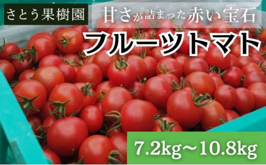 トマト フルーツトマト 7.2kg～10.8kg 6箱 フルティカ 藤沢市 野菜 とまと ミニトマト ハウス栽培