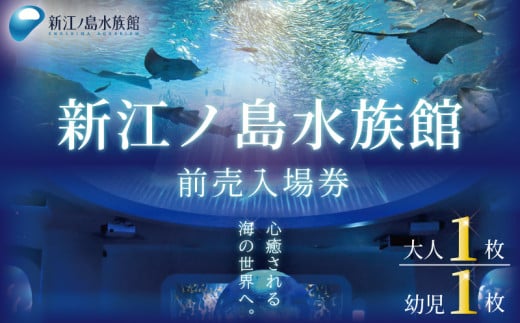 新江ノ島水族館  入場券 ( 大人 幼児  各1枚) 