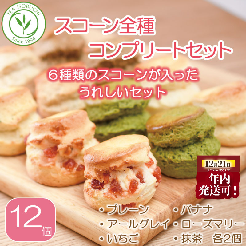 年内発送 ! (12/21 決済完了分まで)  スコーン 6種 × 2個 12個 セット お菓子 スイーツ すこーん scone 
