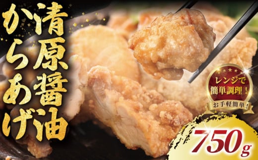 訳あり 唐揚げ 750g ( 1個 約50g ) 最大15個  加納食堂 神奈川 湘南 藤沢