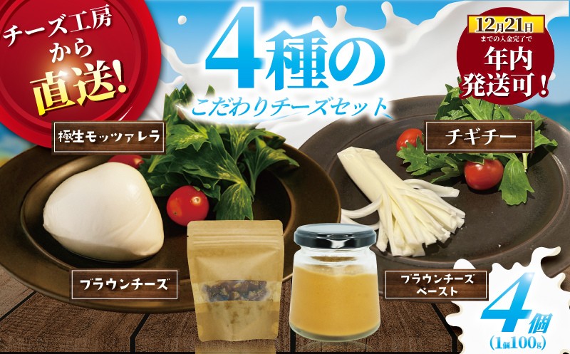 年内発送 ！ ( 12/23決済完了分まで) チーズ ブラウンチーズ チーズ セット 4種 ブラウンチーズ入 モッツァレラチーズ ブラウンチーズペースト チギチー さけるチーズ 極生 モッツァレラ ちーず ナチュラルチーズ 人気 おっぱいの恵み ビール おつまみ cheese Aprotodo’S株式会社 RRAAP BREWERY 神奈川 湘南 藤沢