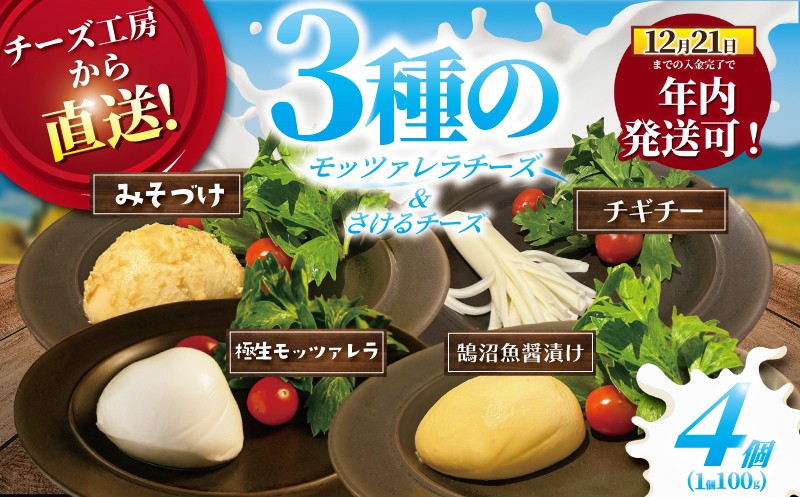 年内発送 ！ ( 12/23決済完了分まで) チーズ モッツァレラ 3種＋ チギチー チーズ 4種セット 極生 魚醤漬け 味噌漬け チギチー モッツァレラチーズ 裂けるチーズ ちーず ナチュラルチーズ cheese ビール おつまみ おやつ 人気 お取り寄せ 贈り物 贈答 Aprotodo’S株式会社 RRAAP BREWERY 神奈川 湘南 藤沢