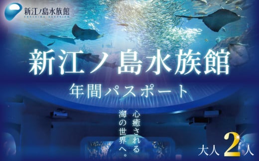 水族館 チケット 新江ノ島水族館 年間 パスポート 引換券 ( 大人 2枚 ) 江ノ島 江の島 えのすい 利用券 券 体験チケット イルカショー 体験型 アクティビティ 入場券 前売り券 お出かけ 家族 旅行 観光 トラベル 関東 すいぞくかん レジャー 株式会社新江ノ島水族館 神奈川 湘南 藤沢