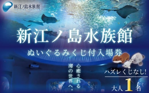 体験 水族館 新江ノ島水族館 えのすい ぬいぐるみ 付き 入場券 えのしま 江の島 大水槽 イルカ アシカ クラゲ あわたん チケット 前売 入場券 大人1枚 利用券 引換券 体験チケット 体験型 アクティビティ 前売り入場券 動物 カップル 家族 ファミリー お土産 ギフト プレゼント 神奈川 湘南 藤沢