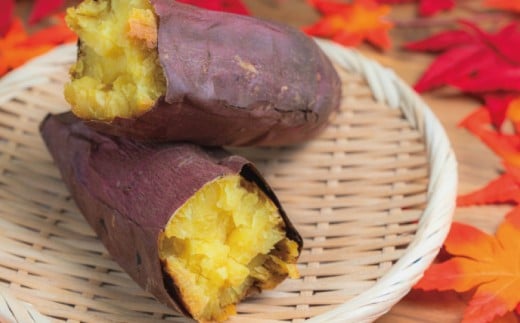 訳あり さつまいも シルクスイート 10kg 訳アリ 訳有 サツマイモ 薩摩芋 さつま芋 デザート しるくすいーと スイーツ 甘芋 スイートポテト sweet potato 蜜 蜜芋 芋 イモ 旬 秋野菜 秋の味覚 おやつ 食物繊維 数量限定 農家直送 産地直送 神奈川 湘南 藤沢 フロムベジ湘南