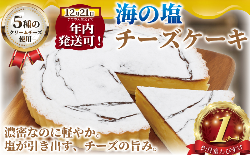 年内発送 !  (12/21決済完了分まで) チーズケーキ 海の塩 ちーずけーき 1ホール