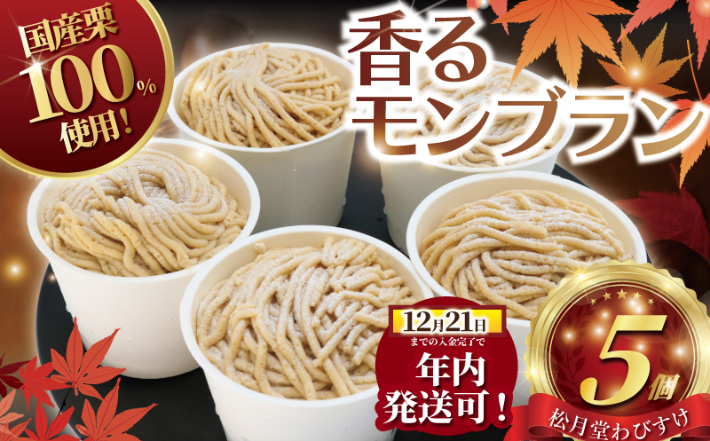 年内発送 !  (12/21決済完了分まで)  モンブラン もんぶらん 5個入り 国産栗 100％ 使用