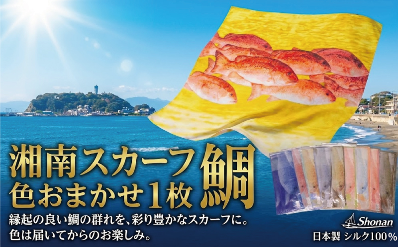 湘南スカーフ 鯛 1枚 色おまかせ 大判 職人 手捺染め 金賞 グッドデザイン賞 日本製 シルク 湘南センコー株式会社 神奈川 湘南 藤沢