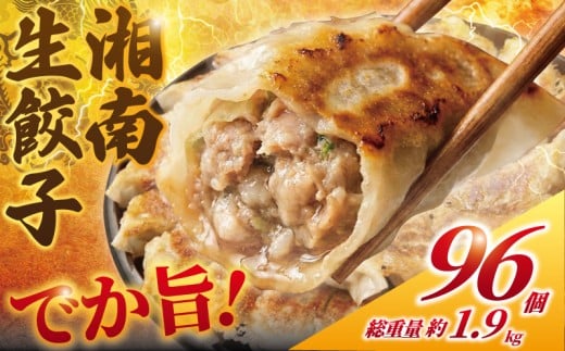 餃子 ぎょうざ 96個 (48個 × 2 パック) 肉汁たっぷり 大きい 国産 ブランド豚 ルイビ豚