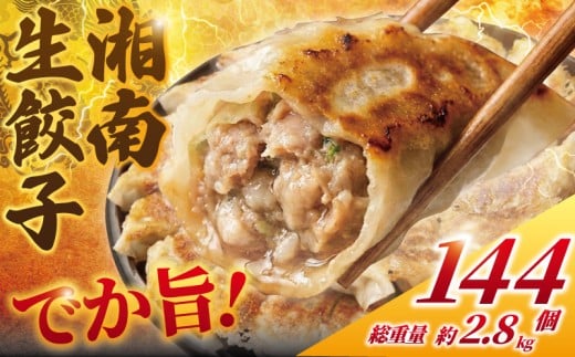 餃子 ぎょうざ 144個 (48個 × 3 パック) 肉汁たっぷり 大きい 国産 ブランド豚 ルイビ豚