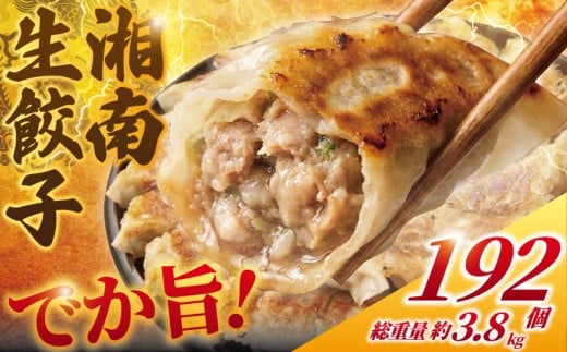 餃子 ぎょうざ 192個 (48個 × 4 パック) 肉汁たっぷり 大きい 国産 ブランド豚 ルイビ豚