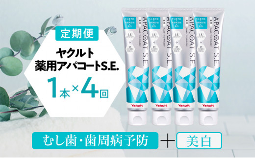 定期便 隔月 4回 薬用 歯磨き粉 ヤクルト アパコートS.E. 4個 医薬部外品 湘南ヤクルト 神奈川 湘南 藤沢