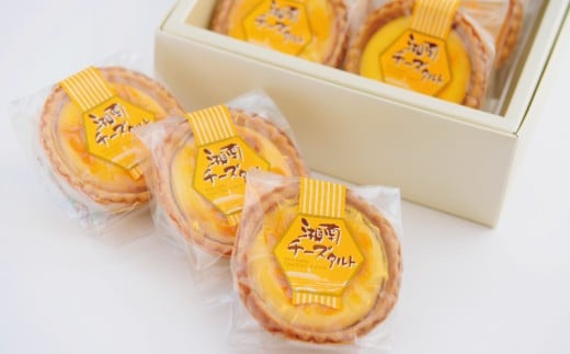 チーズタルト 10個 湘南チーズタルト クリームチーズ ちーず タルト 菓子 洋菓子 焼き菓子 お菓子 おかし スイーツ すいーつ おやつ 美味しい 手作り ドルチェ デザート ギフト 詰め合わせ セット プレゼント 贈り物 誕生日 ご褒美 お取り寄せ 人気 個包装 詰め合わせ 神奈川 湘南 藤沢 