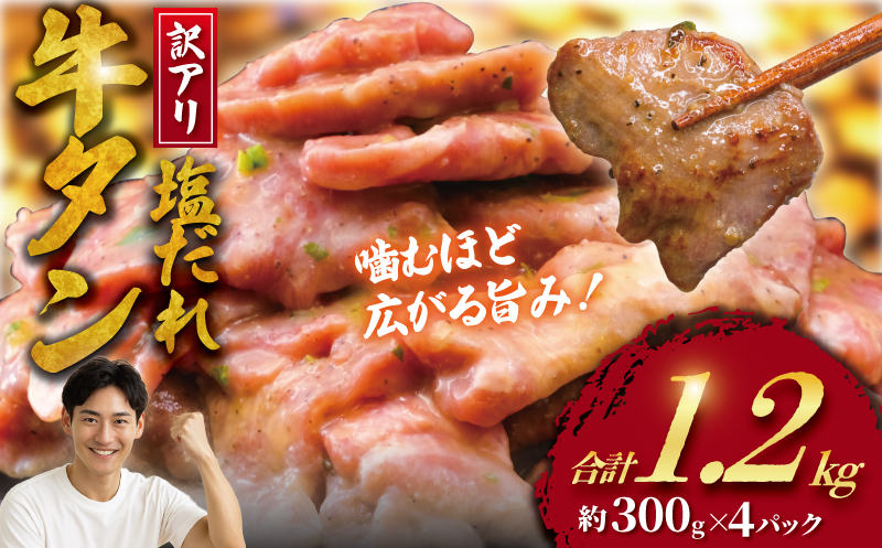 牛タン 計 1.2kg 塩ダレ ( 300g × 4 パック ) 切り落とし たん 牛肉