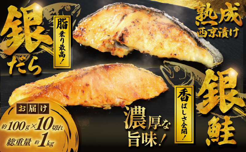 銀鱈 銀鮭 西京漬け セット 2パック 計約 1kg( 1パック 約100g × 5切 計約 500g ) 西京味噌 西京みそ 味噌漬け みそ 味噌 鮮魚 魚介 銀だら 銀ダラ 鱈 タラ 鮭 しゃけ サーモン シャケ 魚 西京焼き 西京漬 西京やき 冷凍 鮮魚 漬け魚 漬魚 新鮮 小分け おかず おつまみ 惣菜 魚喜 神奈川 湘南 藤沢