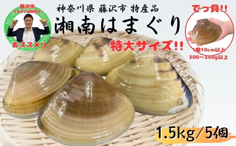 湘南はまぐり 1.5kg 冷凍 焼き蛤 酒蒸し お吸い物 炊き込みご飯 江の島 江ノ島 はまぐり ハマグリ 蛤 はまぐり ハマグリ 蛤 はまぐり ハマグリ 蛤 はまぐり ハマグリ 蛤 はまぐり ハマグリ 蛤 はまぐり ハマグリ 蛤 はまぐり ハマグリ 蛤 はまぐり ハマグリ 蛤 はまぐり ハマグリ 蛤 はまぐり ハマグリ 蛤 はまぐり ハマグリ 蛤 はまぐり ハマグリ 蛤 はまぐり ハマグリ 蛤 はまぐり ハマグリ 蛤 はまぐり ハマグリ 蛤