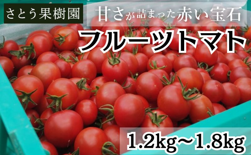 トマト フルーツトマト 1.2kg〜1.8kg 1箱 フルティカ 藤沢市 野菜 とまと ミニトマト ハウス栽培トマト