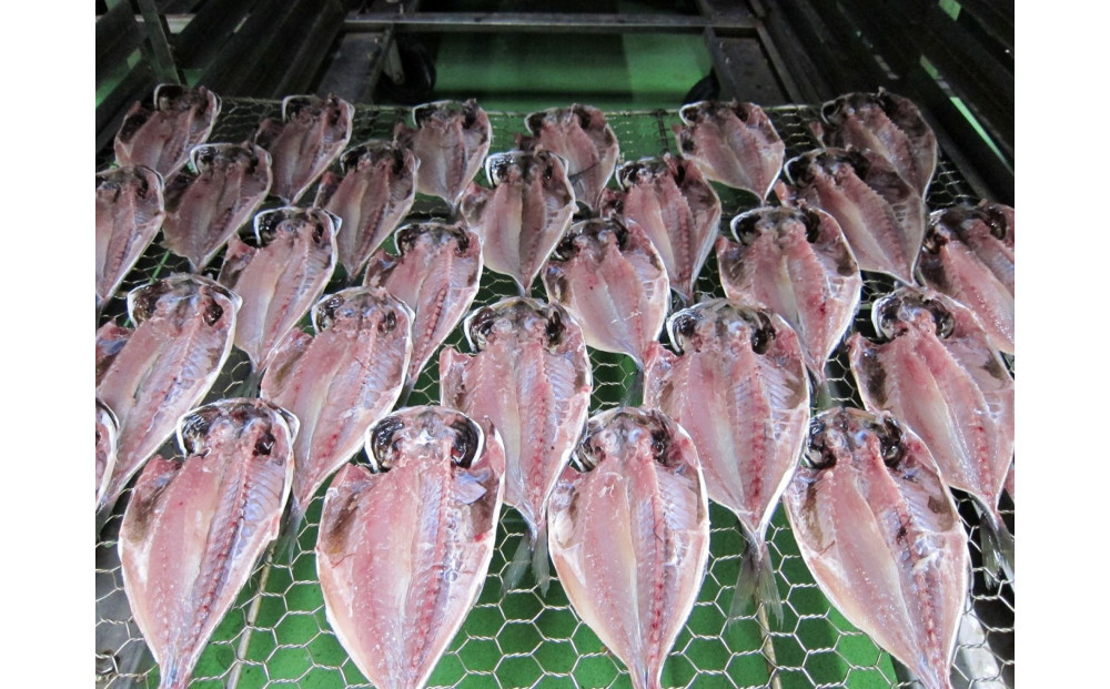 小田原ひもの詰合せ　SA30【惣菜 魚 干物 ひもの お取り寄せ 御中元 お中元 お歳暮 父の日 母の日 贈り物 家庭用 自宅用 贈答品 贈答用 ギフト 定番 朝食 朝ごはん 国産 中あじ  神奈川県 小田原市 】