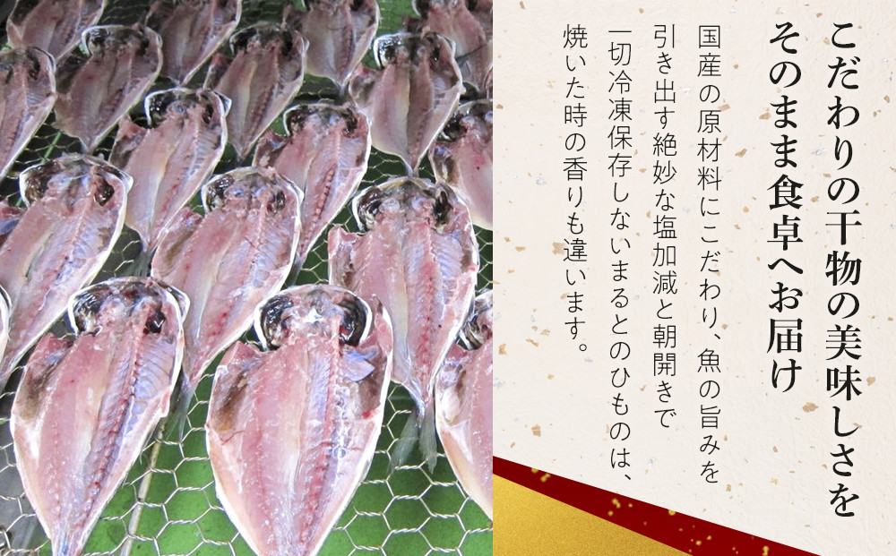 小田原ひもの詰合せ s45【惣菜 魚 干物 ひもの お取り寄せ 御中元 お中元 お歳暮 父の日 母の日 贈り物 家庭用 自宅用 贈答品 贈答用 ギフト 定番 朝食 朝ごはん 国産 中あじ、中かます、中金目鯛  神奈川県 小田原市 】
