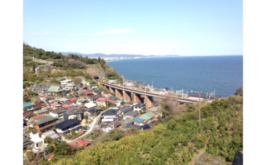 気軽に水中散歩！スノーケリング＆体験ダイビング【1回】【シュノーケリング レンタル ダイビングスクール 送迎付き スノーケリング＆体験ダイビング招待券　1名様分 小田原の海 魚 体験ダイビング 神奈川県 小田原市 】