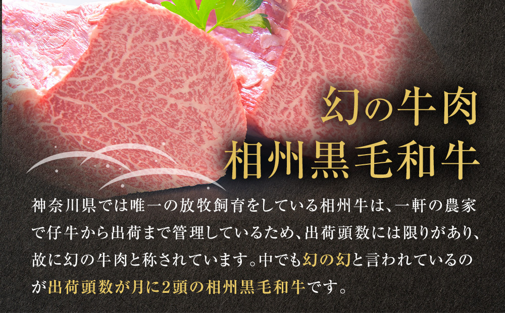 【牛肉 定期便 12回】 幻の相州黒毛和牛肩肉 1.2kg×12回 計14.4kg【相州黒毛和牛 相州牛 幻の牛肉 極上の旨味と風味 キメ細かな上質の脂 様々な料理に ブランド牛 ブランド牛肉 神奈川県 小田原市 】