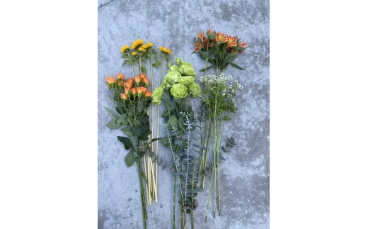 【お花の定期便】素材を楽しむ季節のお花(全12回）【素材を楽しむ季節のお花 フラワーライフ 切り花セット 毎月お届け 花本来の長さ 季節のお花 ご自宅にお届け 生け花 観賞用 飾り用 旬の枝物 全12回 神奈川県 小田原市 】