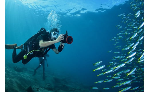 小田原ダイビングスクール共通クーポン券 75,000円分