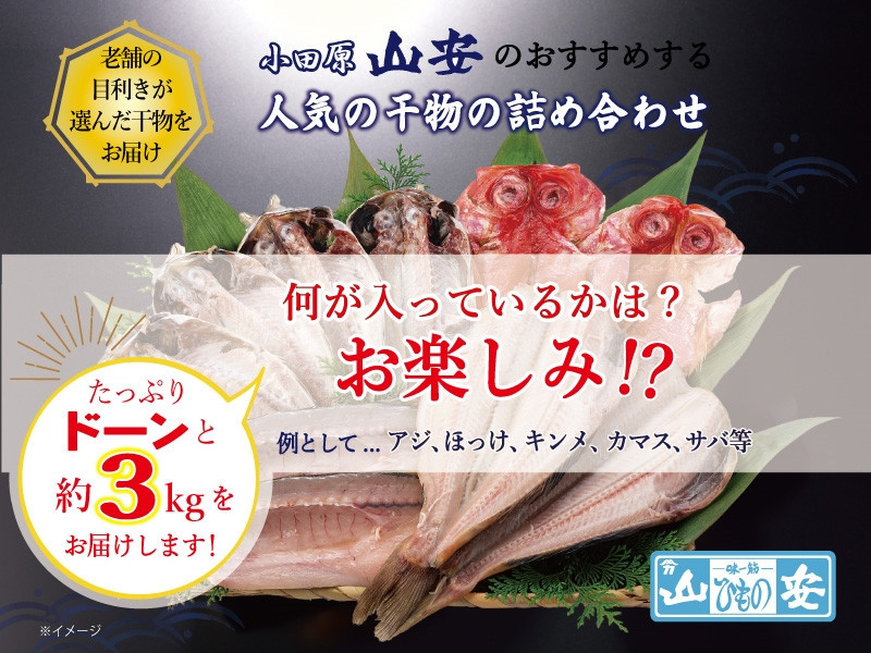 【 小田原 山安 】 おまかせ干物セット 約3kg 【 縞ほっけ開き干し 金目鯛開き干し 真あじ開き干し 赤魚開き干し さば半身干し かます開き干し 干物 大容量 詰合せ 神奈川県 小田原市 】