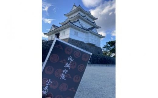 小田原城御城印・御城印帳・石垣山城御城印・北条五代武将印セット【小田原城 石垣山城 北条五代武将 武将 小田原御城印 武将印 5枚組 花押 朱印 古文書 小田原城天守閣ミュージアムショップ 神奈川県 小田原市 】