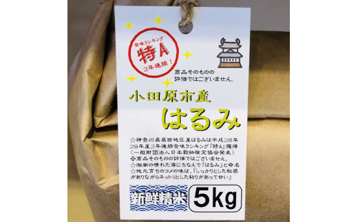 志村屋米穀店 令和7年産新米小田原市産　はるみ　10kg（5kgｘ2）＜出荷時期：10月中旬より順次出荷開始＞